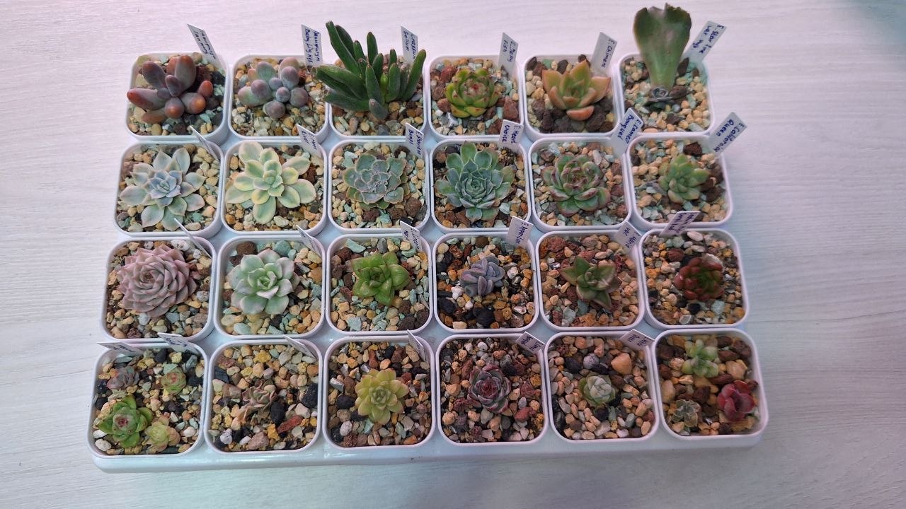 Фото 4
